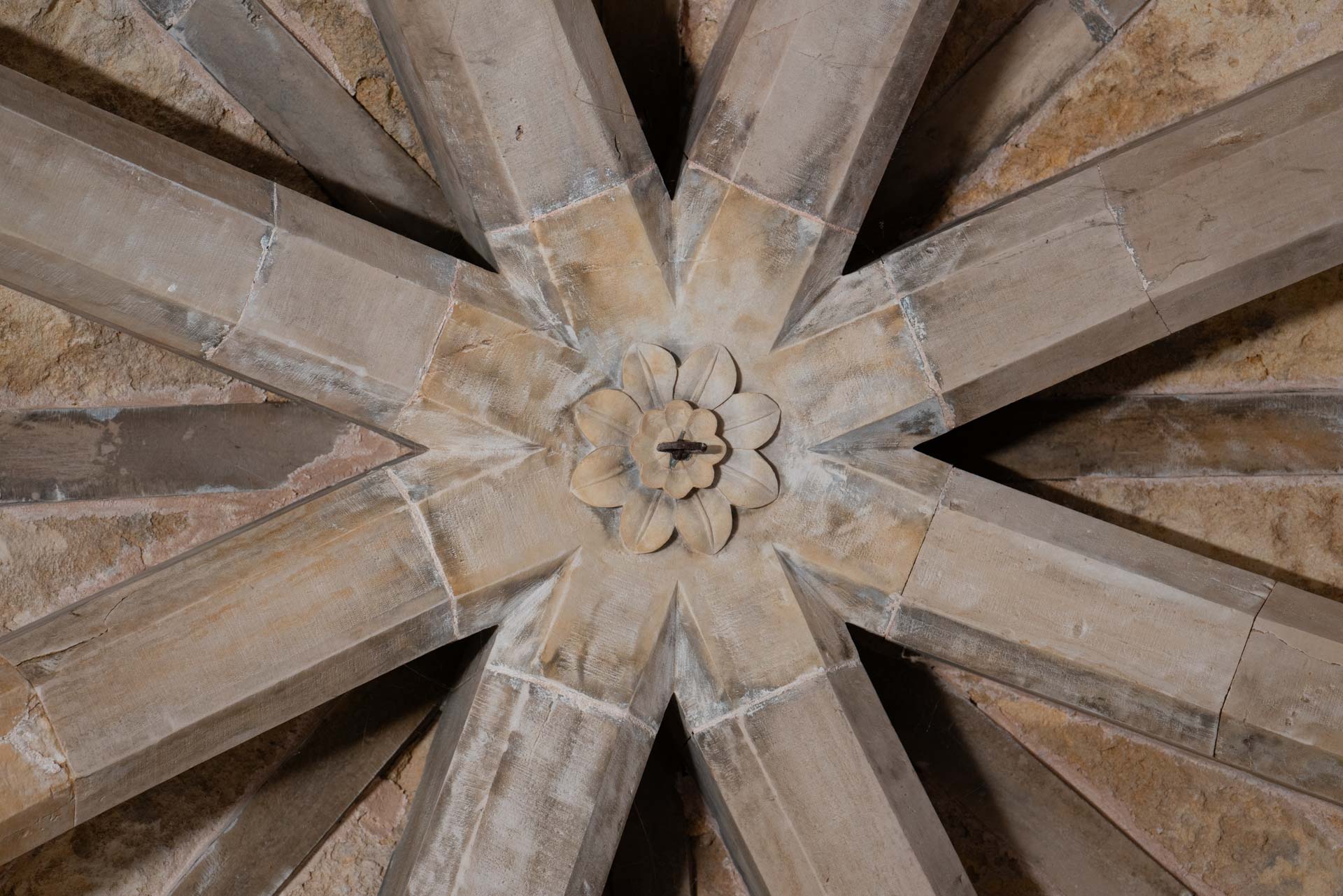 I comfort di Castel del Monte