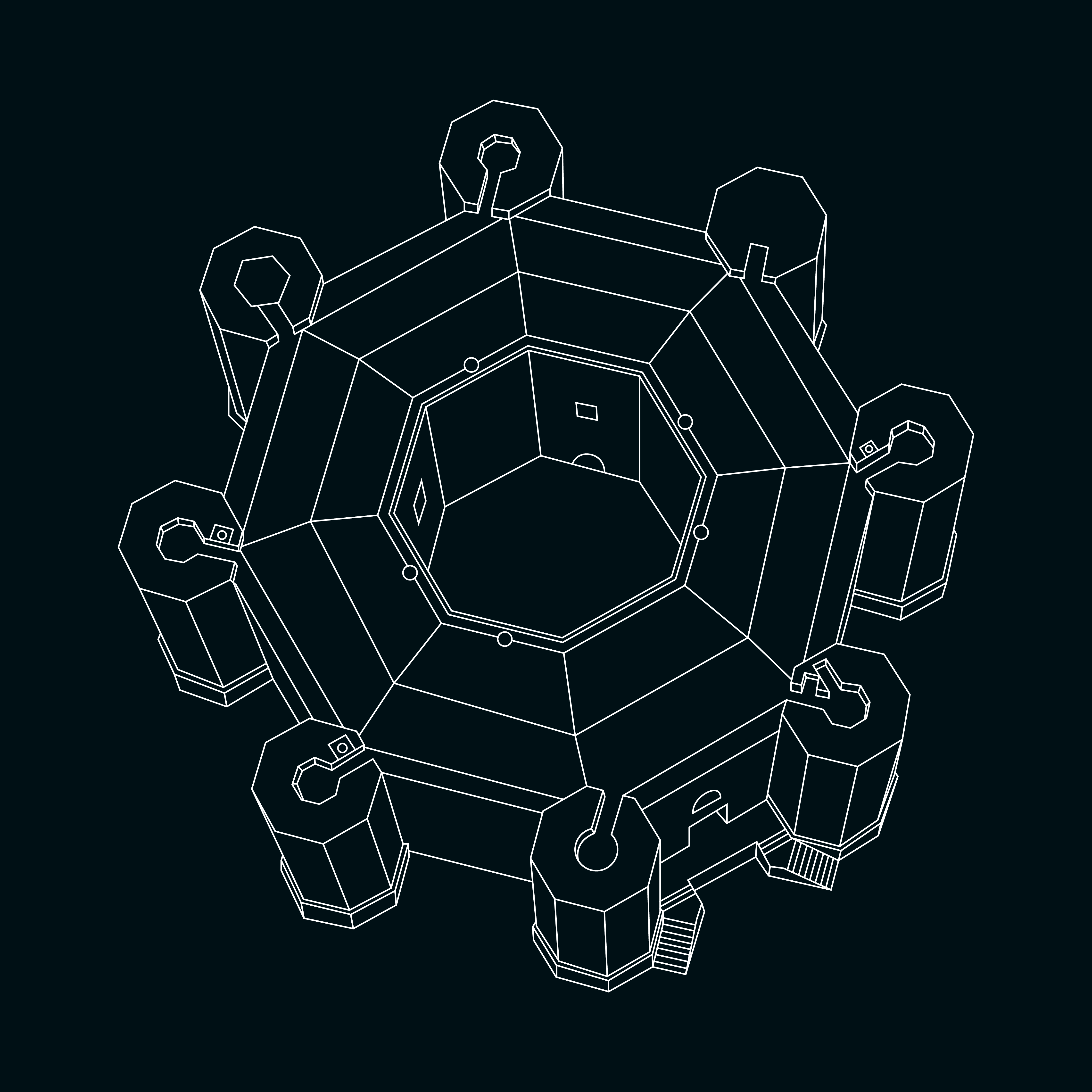 Il castello ottagonale