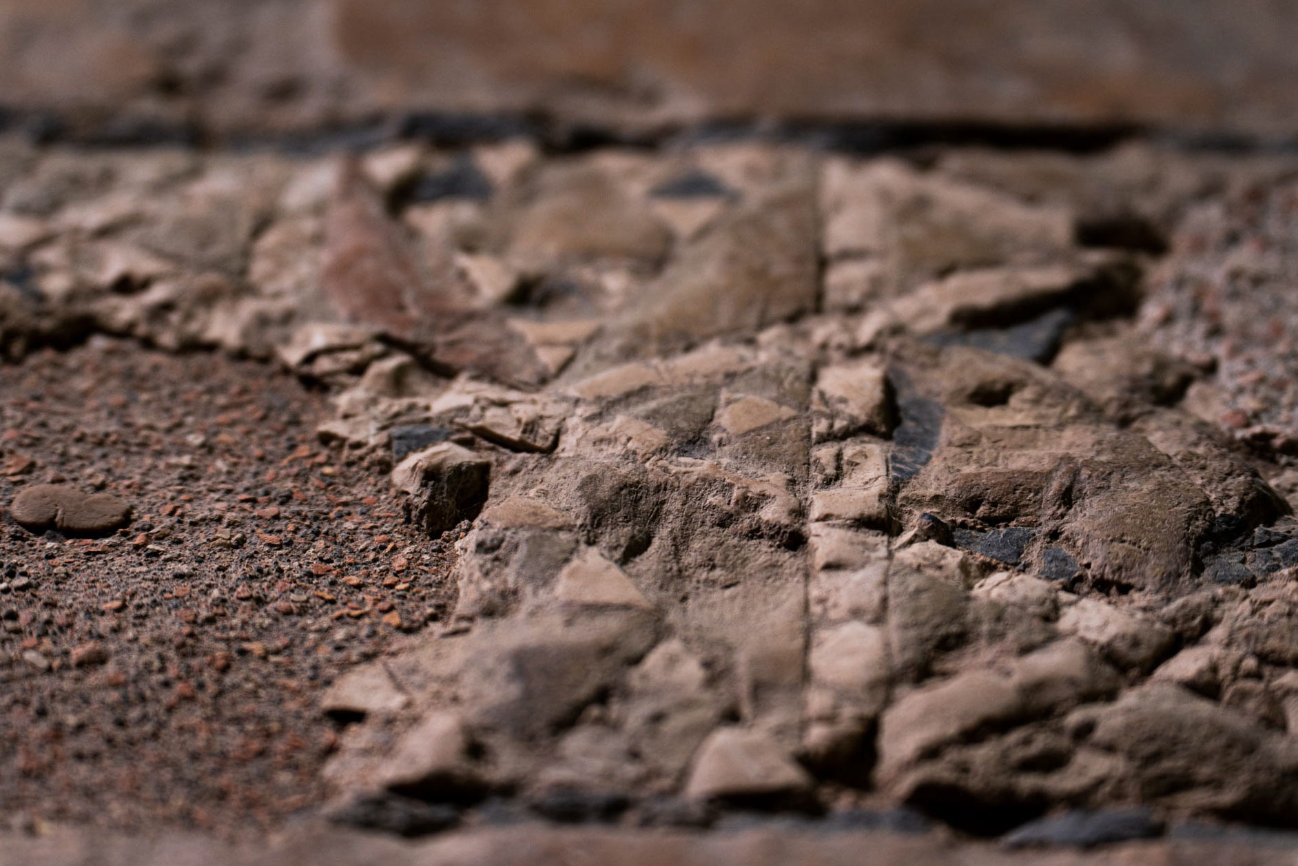 Sala VIII: i pavimenti