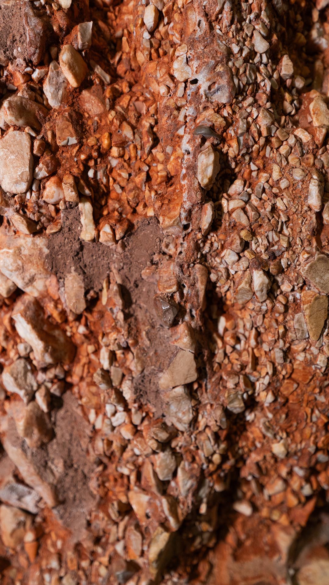 Il cortile ottagonale