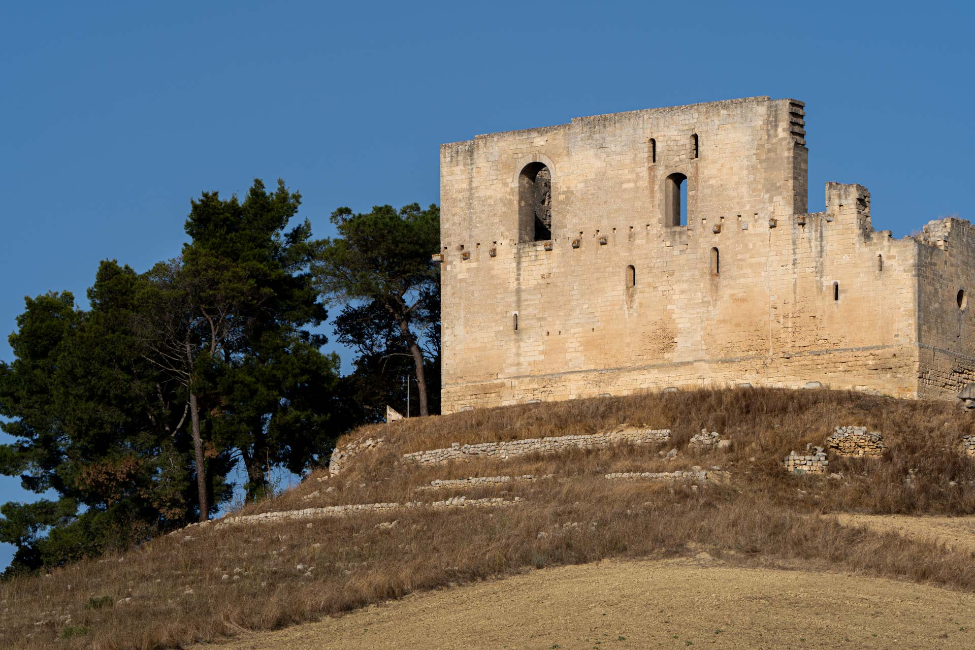 La rete dei castelli di Federico II